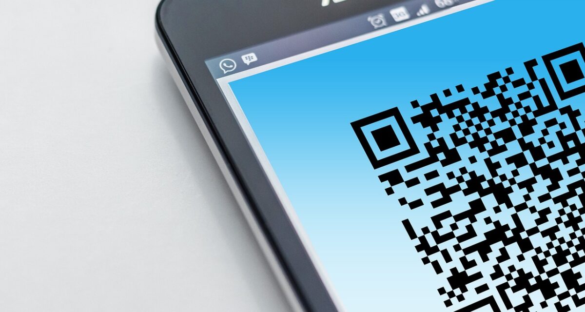 Passaporto digitale di prodotto: rivoluzione QR Code Passaporto digitale di prodotto: rivoluzione QR Code