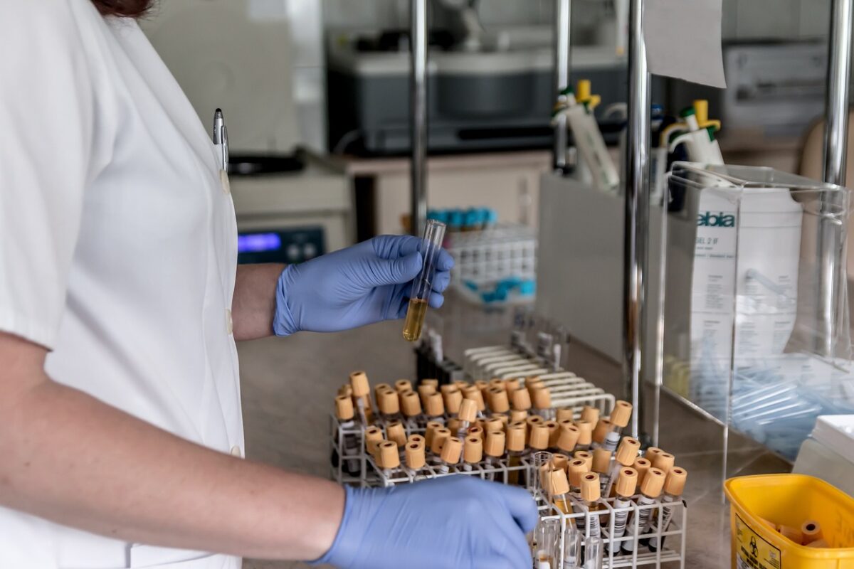 Intelligenza artificiale e DNA: i modelli genomici che hanno creato virus funzionanti Intelligenza artificiale e DNA: i modelli genomici che hanno creato virus funzionanti